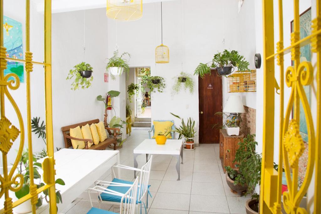 Casa Canario Hostel Guadalajara Zewnętrze zdjęcie