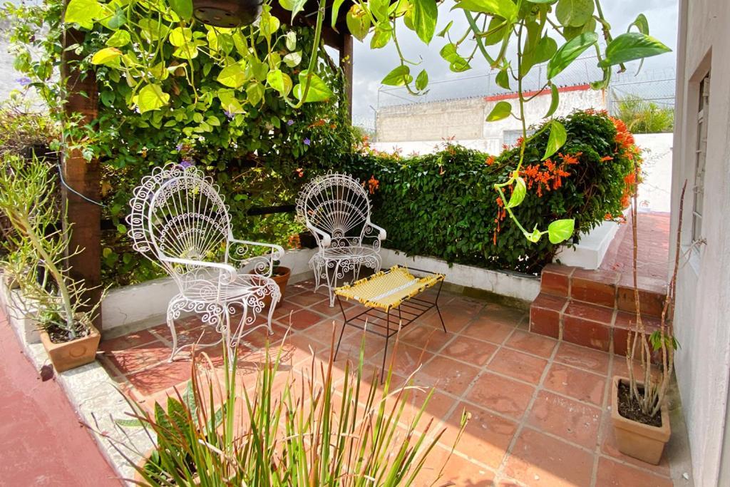 Casa Canario Hostel Guadalajara Zewnętrze zdjęcie