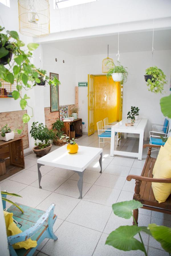 Casa Canario Hostel Guadalajara Zewnętrze zdjęcie