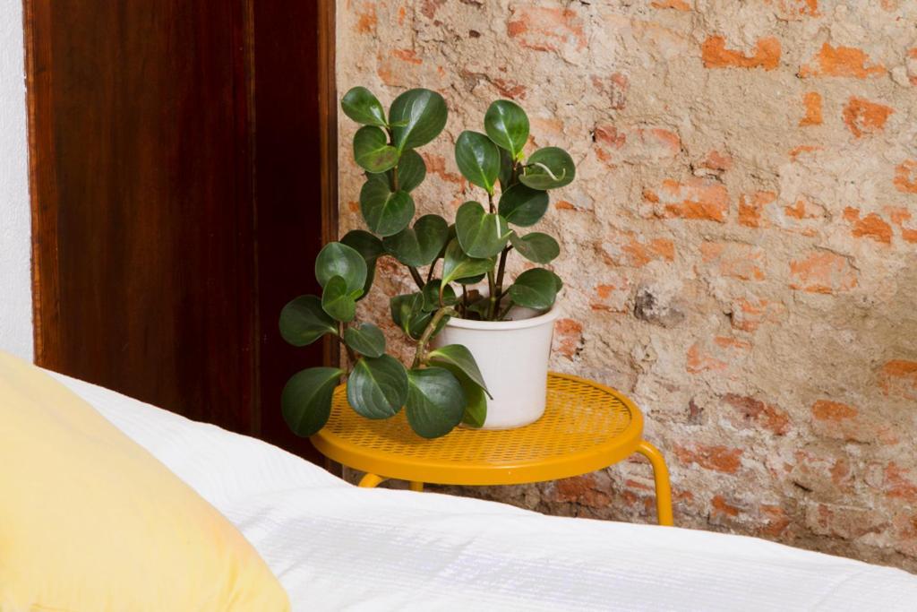 Casa Canario Hostel Guadalajara Zewnętrze zdjęcie