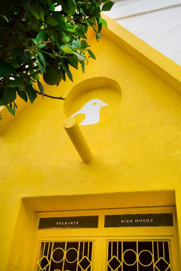 Casa Canario Hostel Guadalajara Zewnętrze zdjęcie