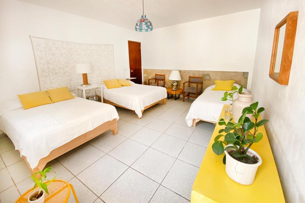 Casa Canario Hostel Guadalajara Zewnętrze zdjęcie