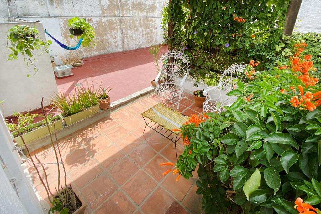 Casa Canario Hostel Guadalajara Zewnętrze zdjęcie