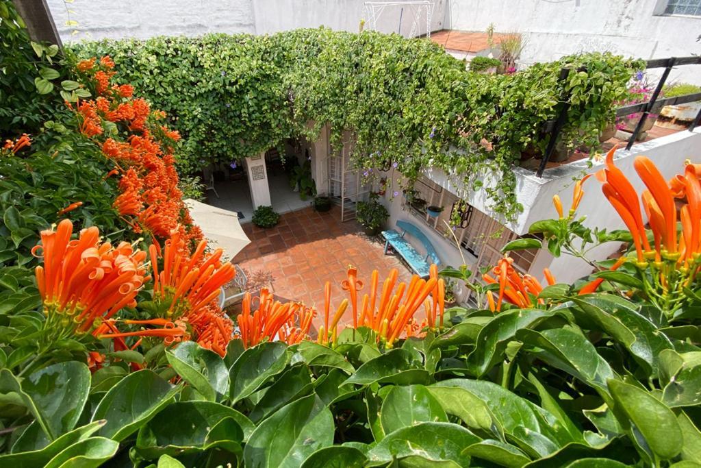 Casa Canario Hostel Guadalajara Zewnętrze zdjęcie