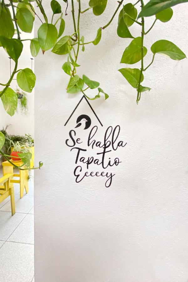 Casa Canario Hostel Guadalajara Zewnętrze zdjęcie