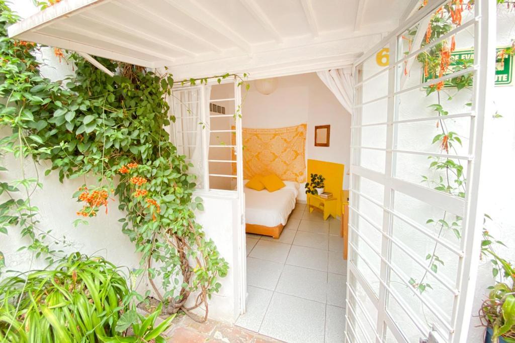 Casa Canario Hostel Guadalajara Zewnętrze zdjęcie