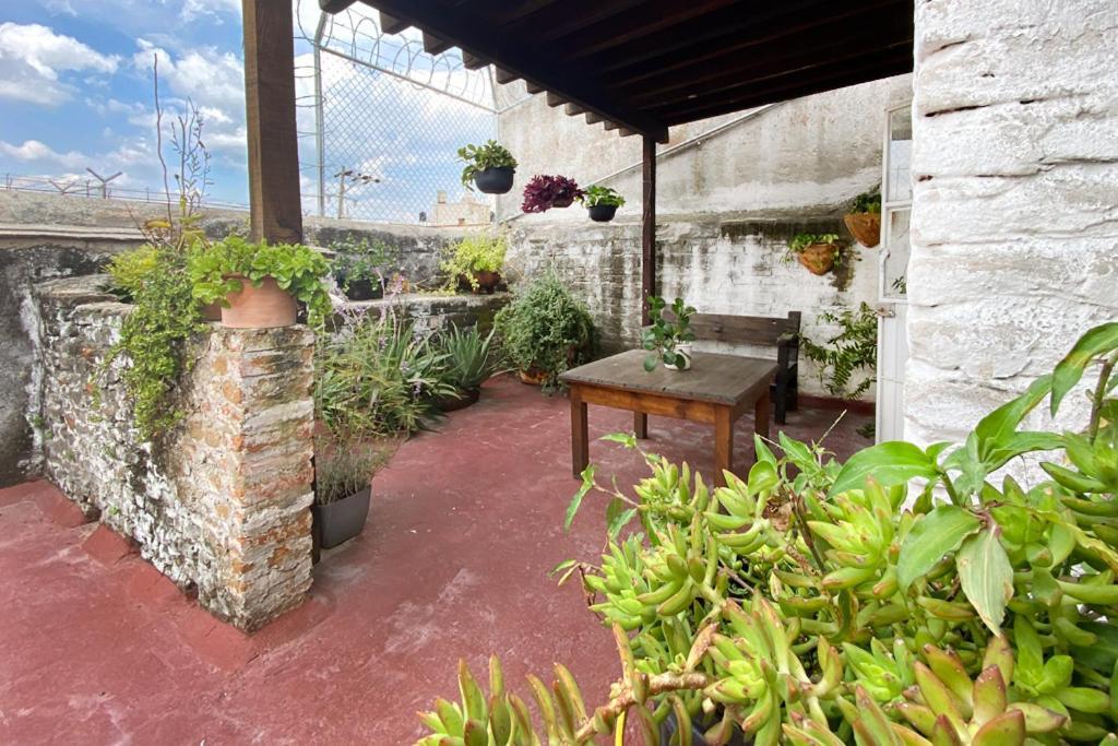 Casa Canario Hostel Guadalajara Zewnętrze zdjęcie